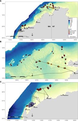 Regional patterns in demersal fish assemblages among subsea pipelines and <mark class="highlighted">natural habitats</mark> across north-west Australia
